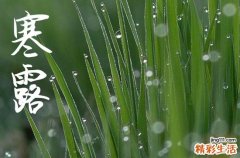 2023送给朋友寒露节气关怀问候语5篇