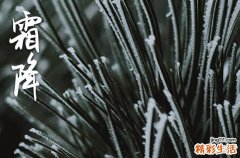 2023有趣的霜降节气短信祝福语大全 幽默有趣的寒露节气短信3篇