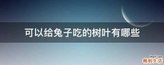 可以给兔子吃的树叶有哪些