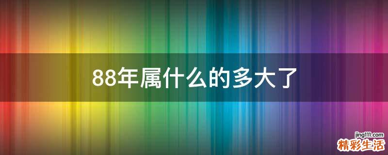 88年属什么的多大了