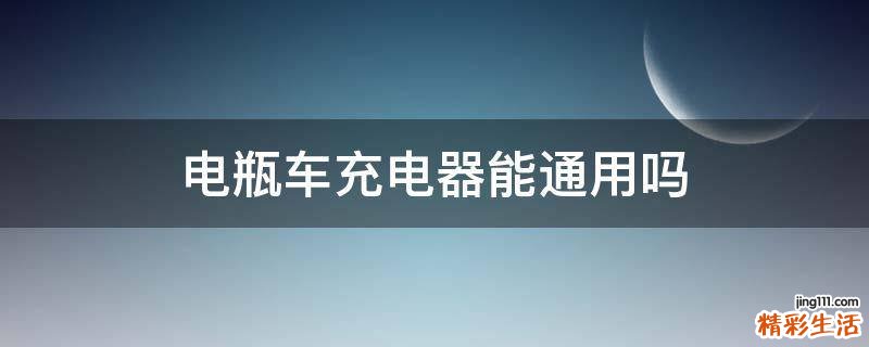 电瓶车充电器能通用吗