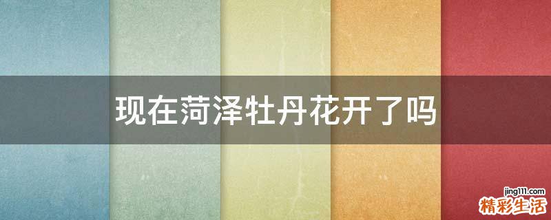 现在菏泽牡丹花开了吗