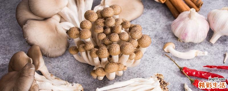 蘑菇可以放冰箱吗 蘑菇放冰箱长白毛
