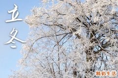 2023年立冬是什么时间开始