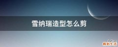 雪纳瑞造型怎么剪