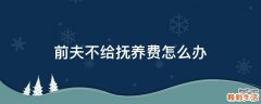 前夫不给抚养费怎么办