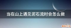 当在山上遇见泥石流时会怎么做