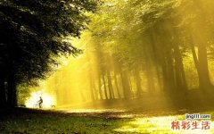 预防骨质疏松吃什么钙片