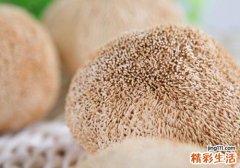猴头菇能治胃病吗 猴头菇有什么好处