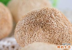 吃猴头菇会上火吗 猴头菇上的毛可以吃吗