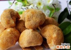 猴头菇有什么营养 猴头菇吃了有什么功效