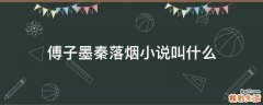 傅子墨秦落烟小说叫什么