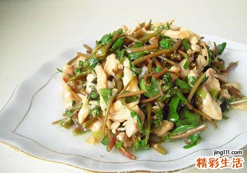 马齿苋能治白发吗 马齿苋可以治疗少白头吗