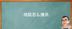 地鼠怎么捕杀