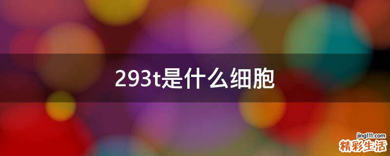 293t是什么细胞