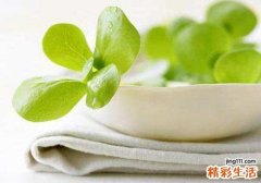马齿苋对痔疮有好处吗 马齿苋治痔疮效果好吗