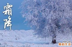 2023年霜降日期 2023年霜降是几月几号几点几分