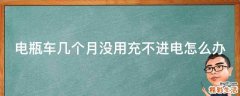 电瓶车几个月没用充不进电怎么办