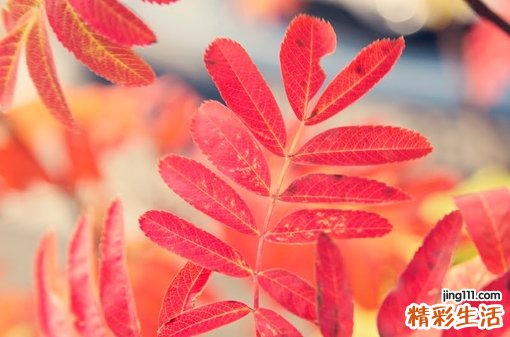 3 切诊