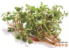 吃马齿苋有什么作用 马齿苋食疗方