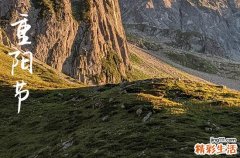 今年重阳节是几月几日2023