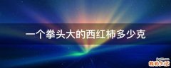 一个拳头大的西红柿多少克