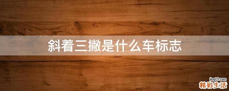 斜着三撇是什么车标志