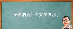 罗布泊为什么突然没水了