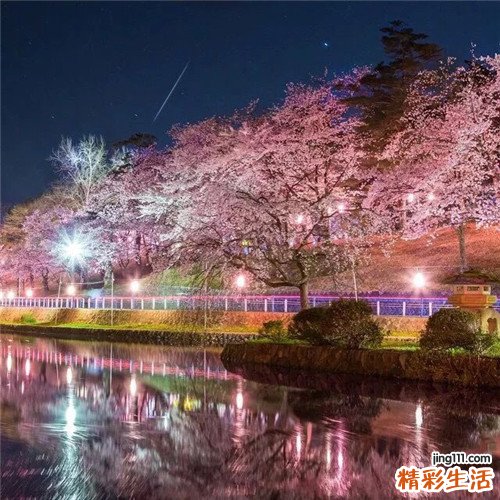 2 沙松果