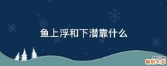 鱼上浮和下潜靠什么