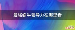 最强蜗牛领导力在哪里看