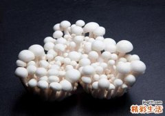 金针菇消化不了吗