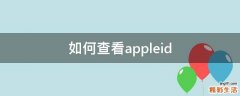 如何查看appleid