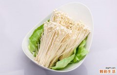 金针菇吃多了好吗 金针菇吃多了有什么危害