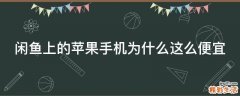 闲鱼上的苹果手机为什么这么便宜