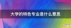 大学的特色专业是什么意思