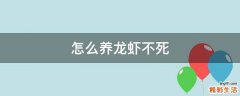 怎么养龙虾不死