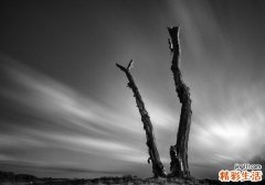 2 《中医中药走入低谷的部分原因分析》