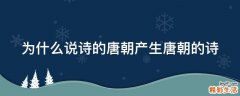 为什么说诗的唐朝产生唐朝的诗