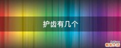 护齿有几个