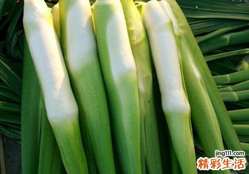 茭白可以放冰箱保存吗 新鲜的茭白怎么保存