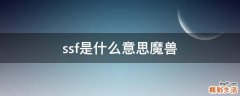ssf是什么意思魔兽