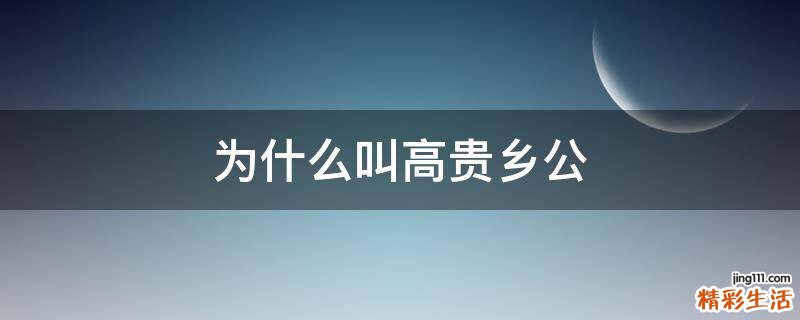 为什么叫高贵乡公