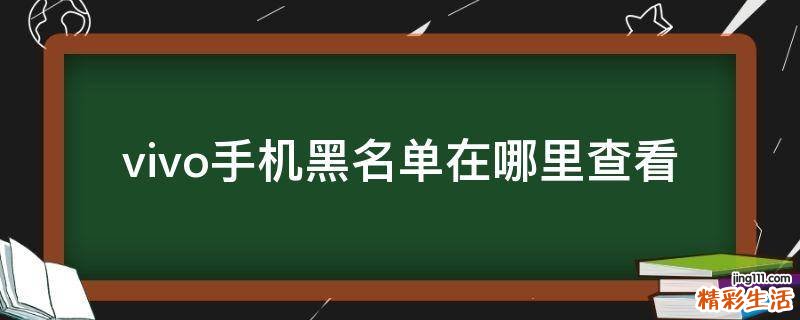 vivo手机黑名单在哪里查看