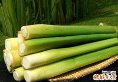 茭白搭配什么一起吃 茭白什么季节有