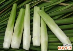 茭白吃了有什么好处 食用茭白要注意什么