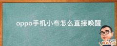 oppo手机小布怎么直接唤醒