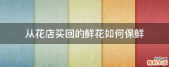 从花店买回的鲜花如何保鲜