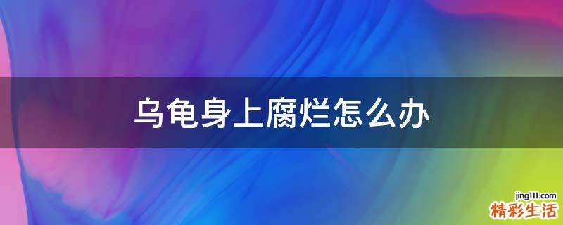 乌龟身上腐烂怎么办