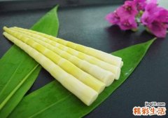 吃竹笋有什么好处 不能错过的开胃菜